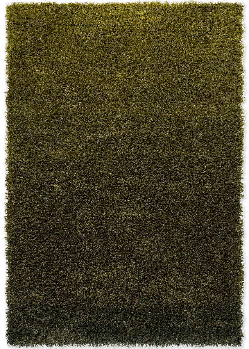 Brink & Campman Shade High Olive Deep Forest 011907
