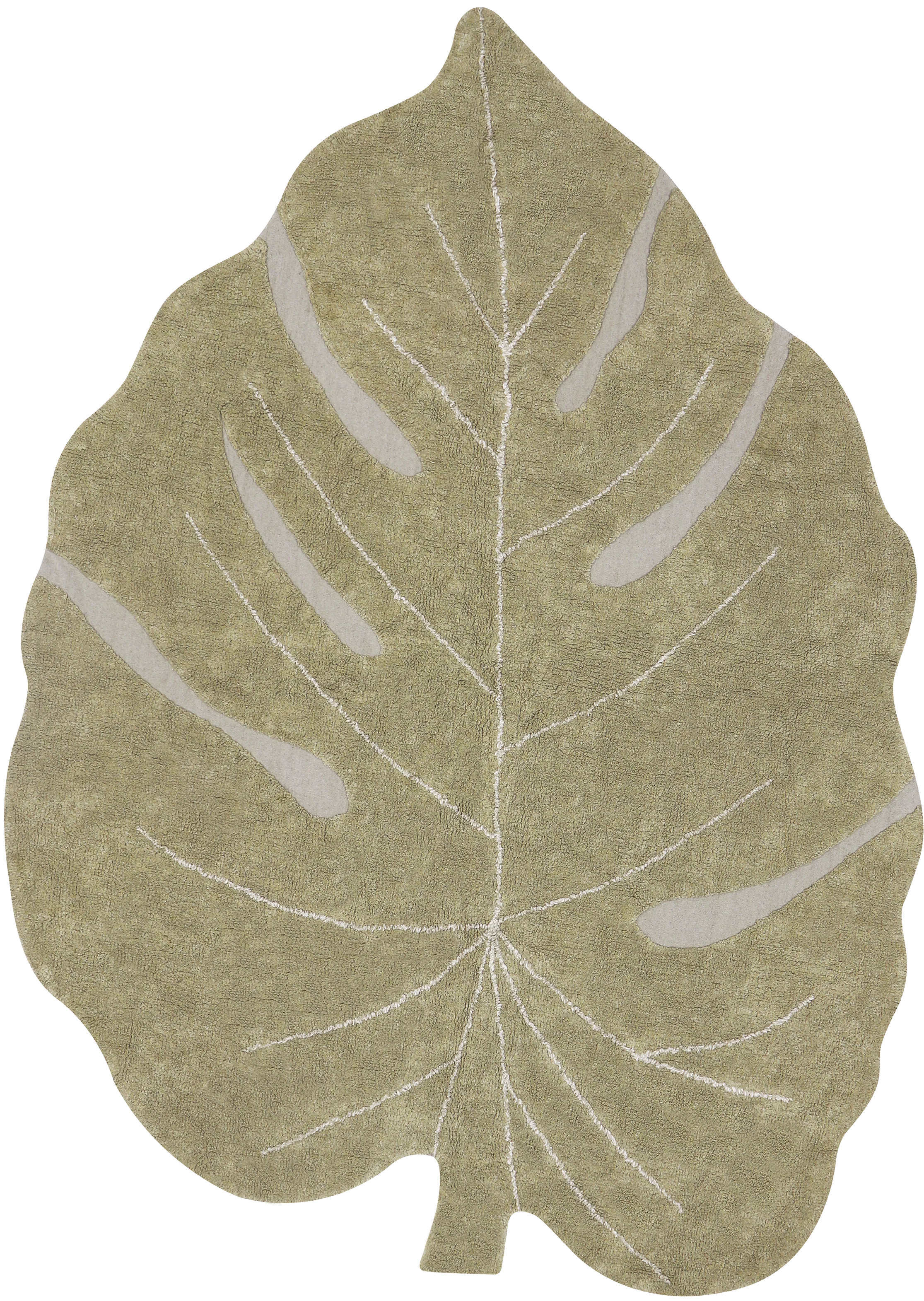 Lorena Canals Plants Monstera Olive